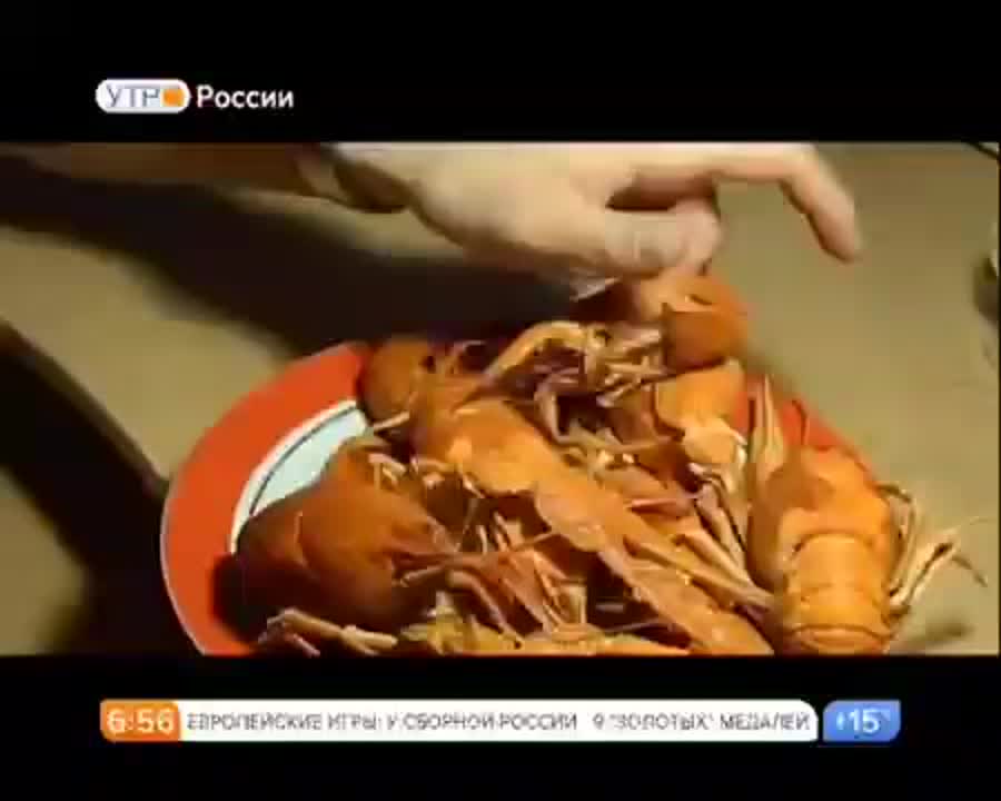 Кадр программы Утро России о раках